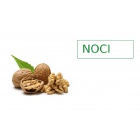 Noci